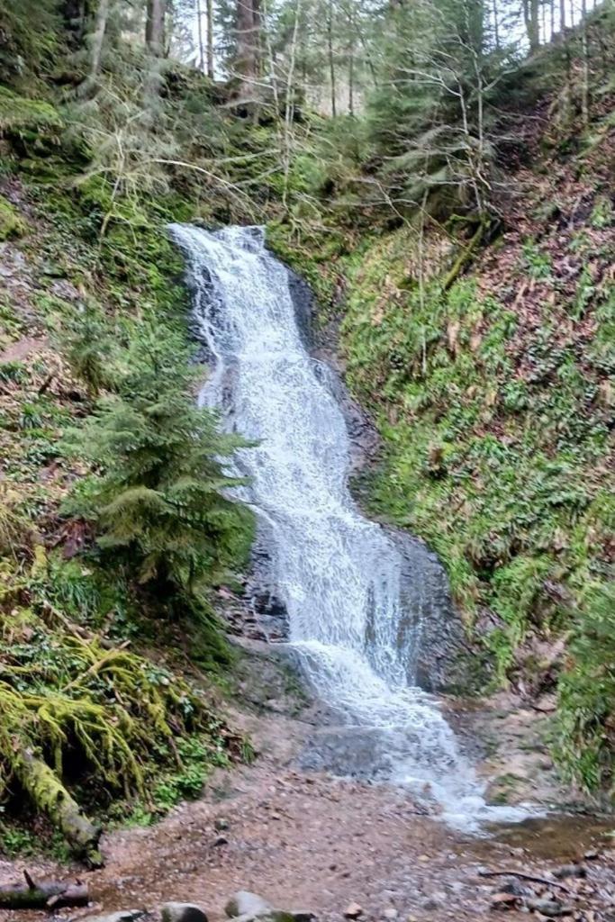 Charmant Gite, Au Calme, Avec Vue Imprenable Sur La Nature Environnante Deycimont エクステリア 写真