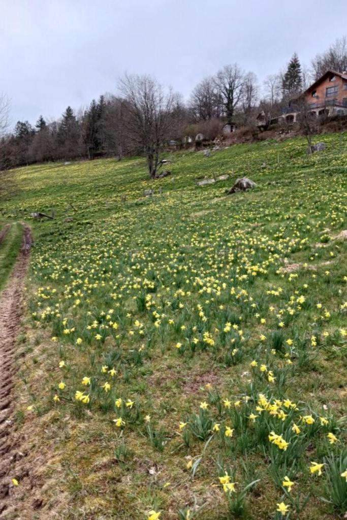 Charmant Gite, Au Calme, Avec Vue Imprenable Sur La Nature Environnante Deycimont エクステリア 写真