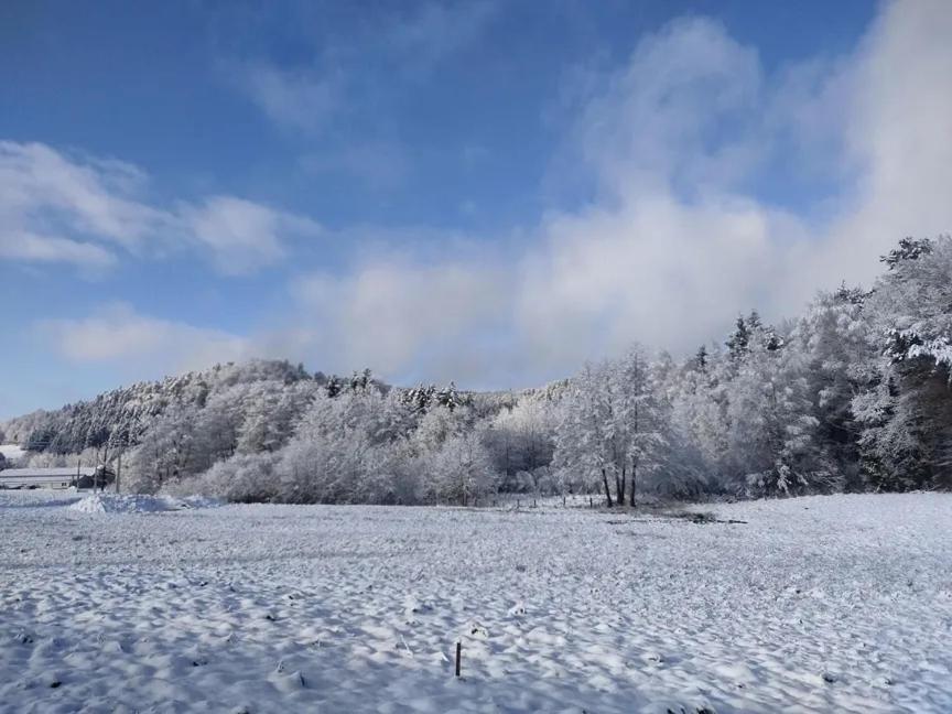 Charmant Gite, Au Calme, Avec Vue Imprenable Sur La Nature Environnante Deycimont エクステリア 写真